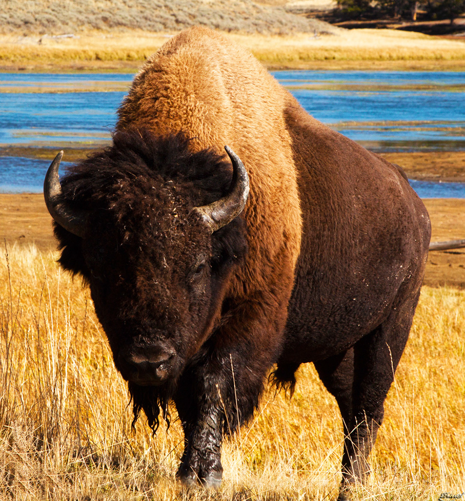 %_tempFileNameIMG_1530%