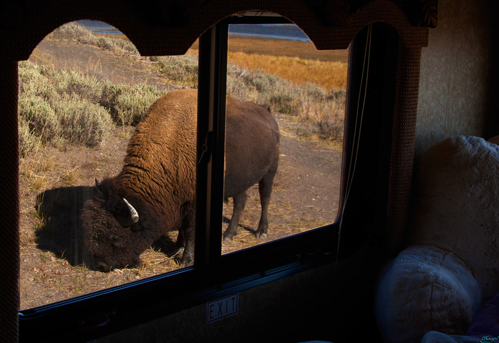 %_tempFileNameIMG_1532%