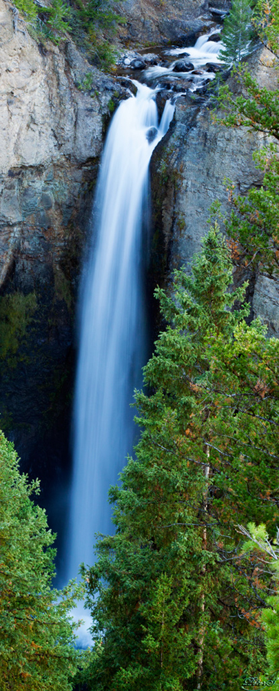 %_tempFileNameIMG_1535%