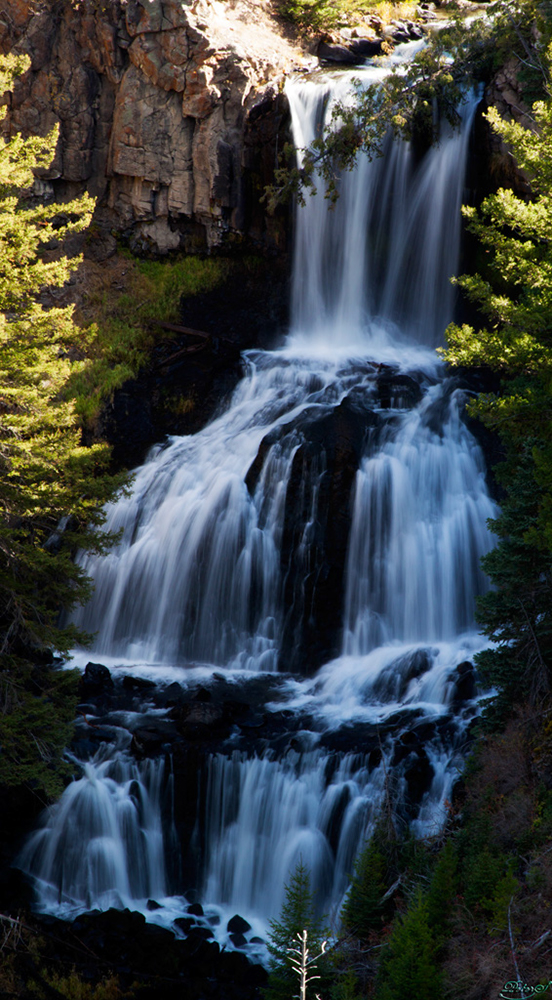 %_tempFileNameIMG_1572%