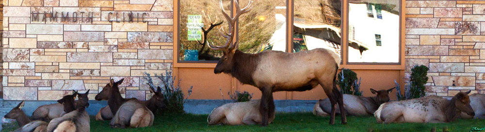 %_tempFileNameIMG_1615%