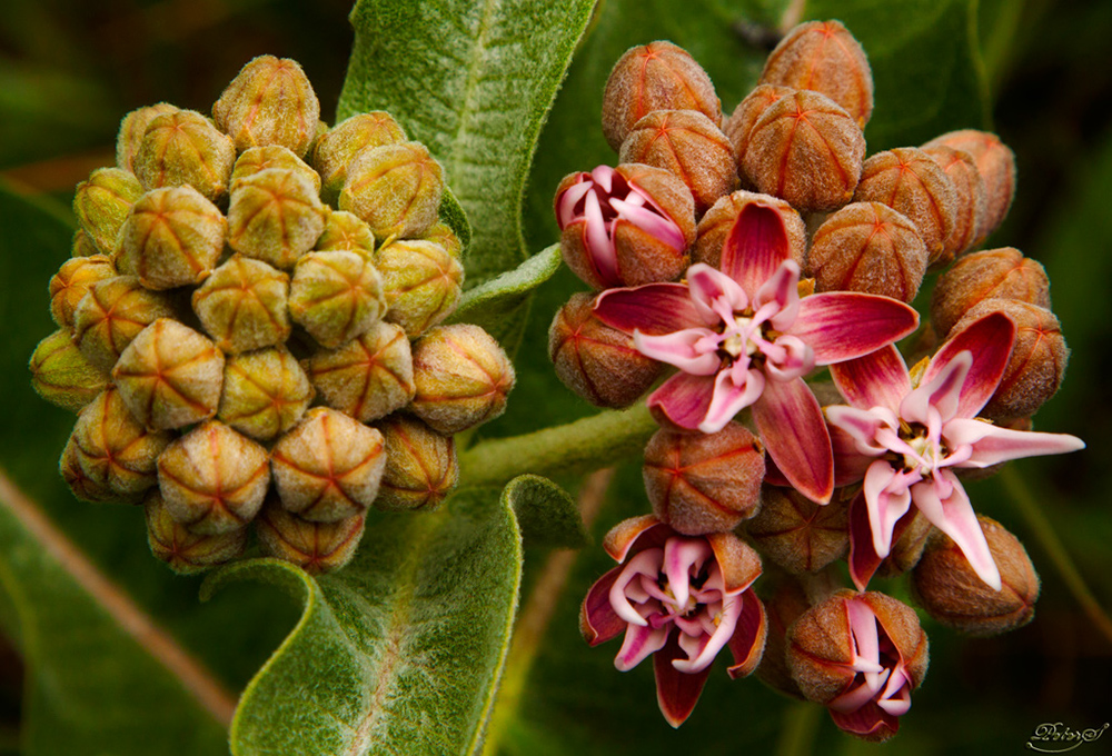 %_tempFileNameIMG_5676a%