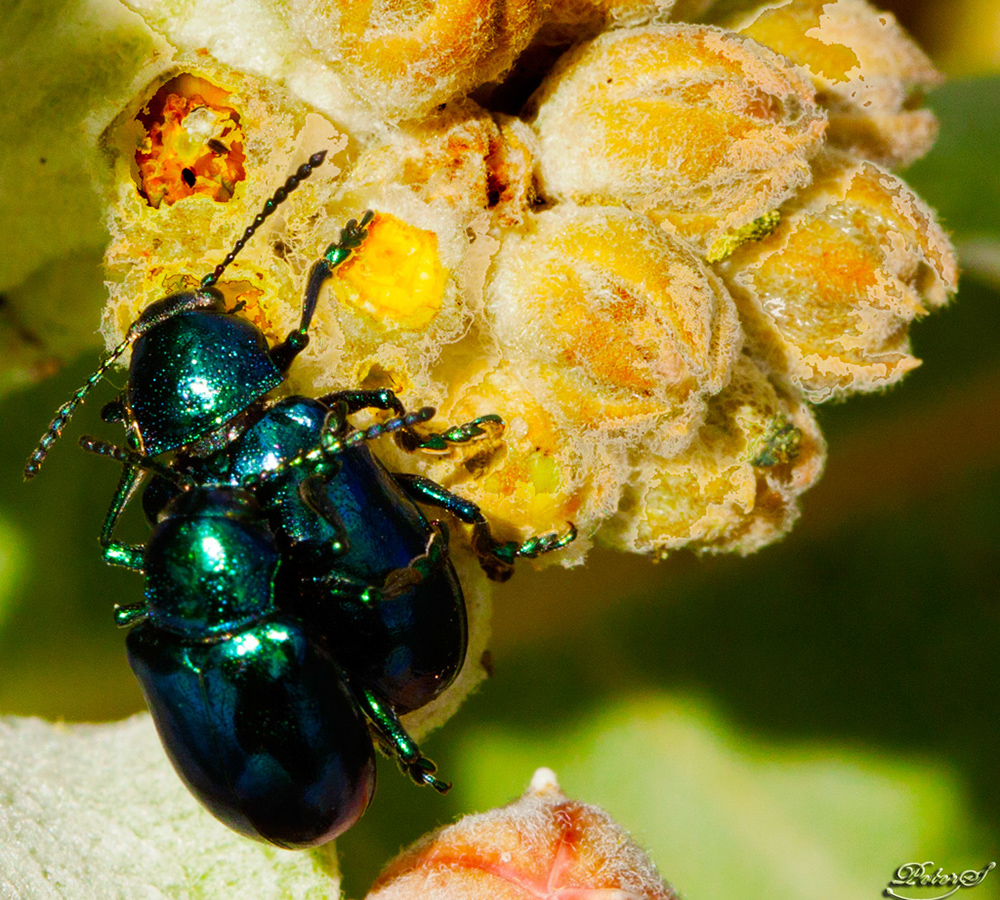 %_tempFileNameIMG_5678%