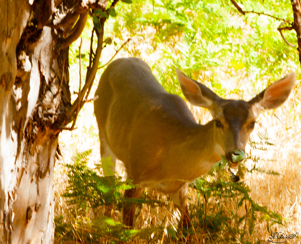 %_tempFileNameIMG_5695%