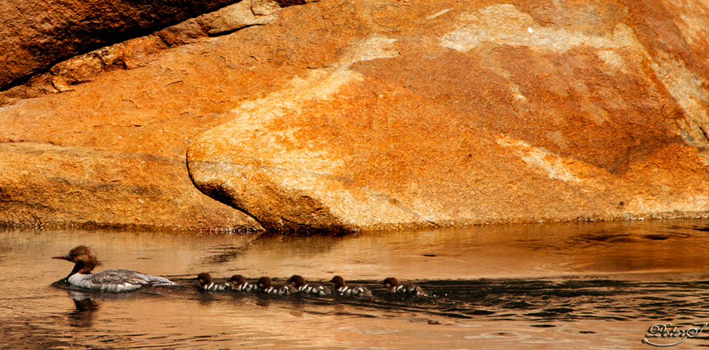 %_tempFileNameIMG_5749%