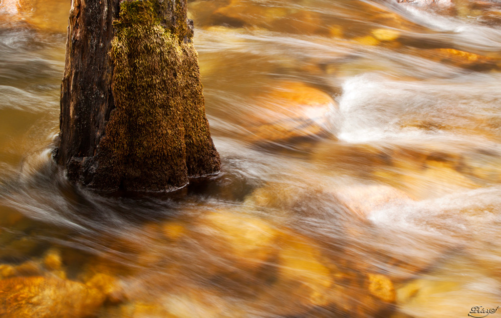 %_tempFileNameIMG_4875%