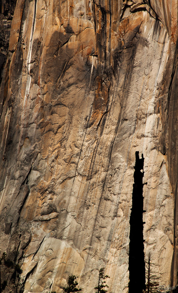 %_tempFileNameIMG_4958%