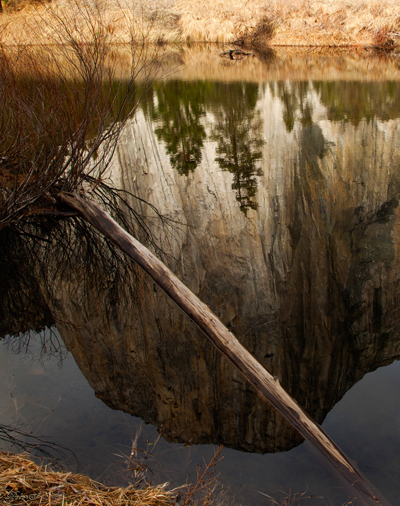 %_tempFileNameIMG_4971%