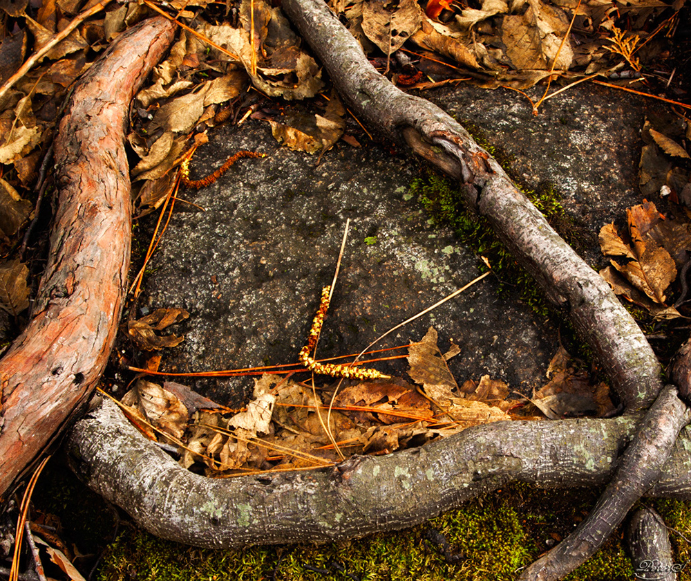 %_tempFileNameIMG_4977%