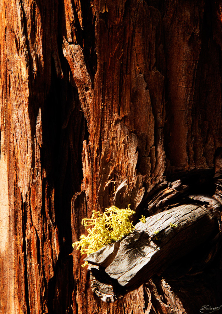 %_tempFileNameIMG_5008%