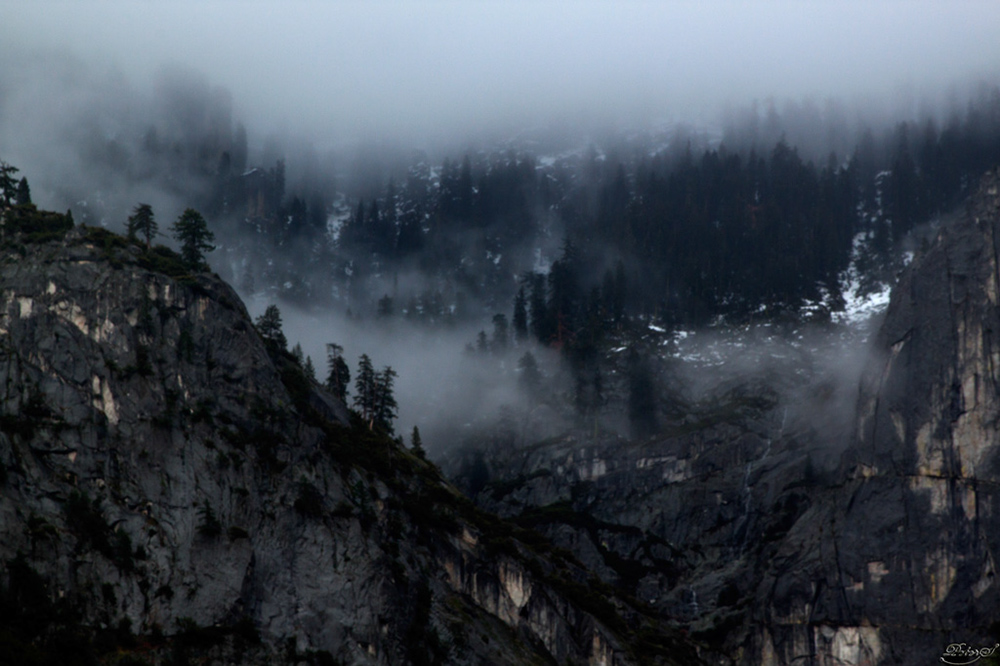 %_tempFileNameIMG_5050%