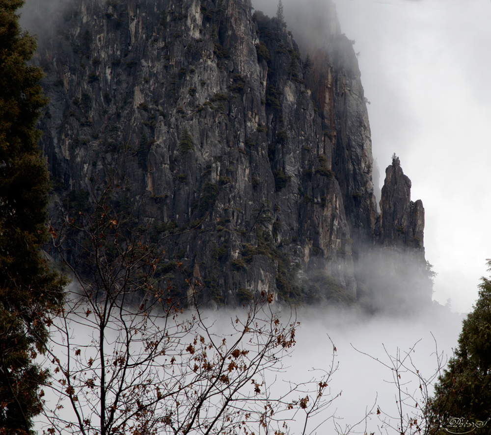 %_tempFileNameIMG_5056%