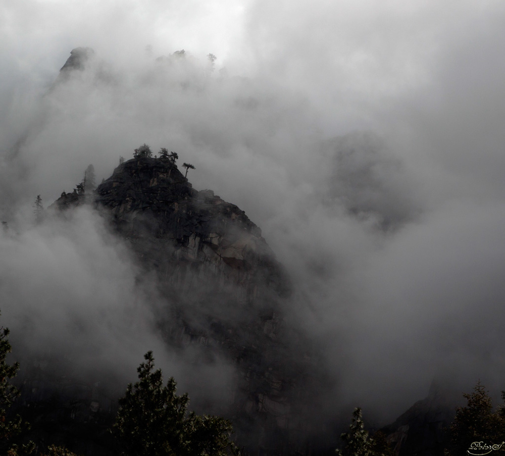 %_tempFileNameIMG_5079%