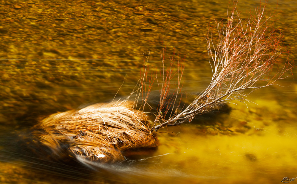 %_tempFileNameIMG_9193%