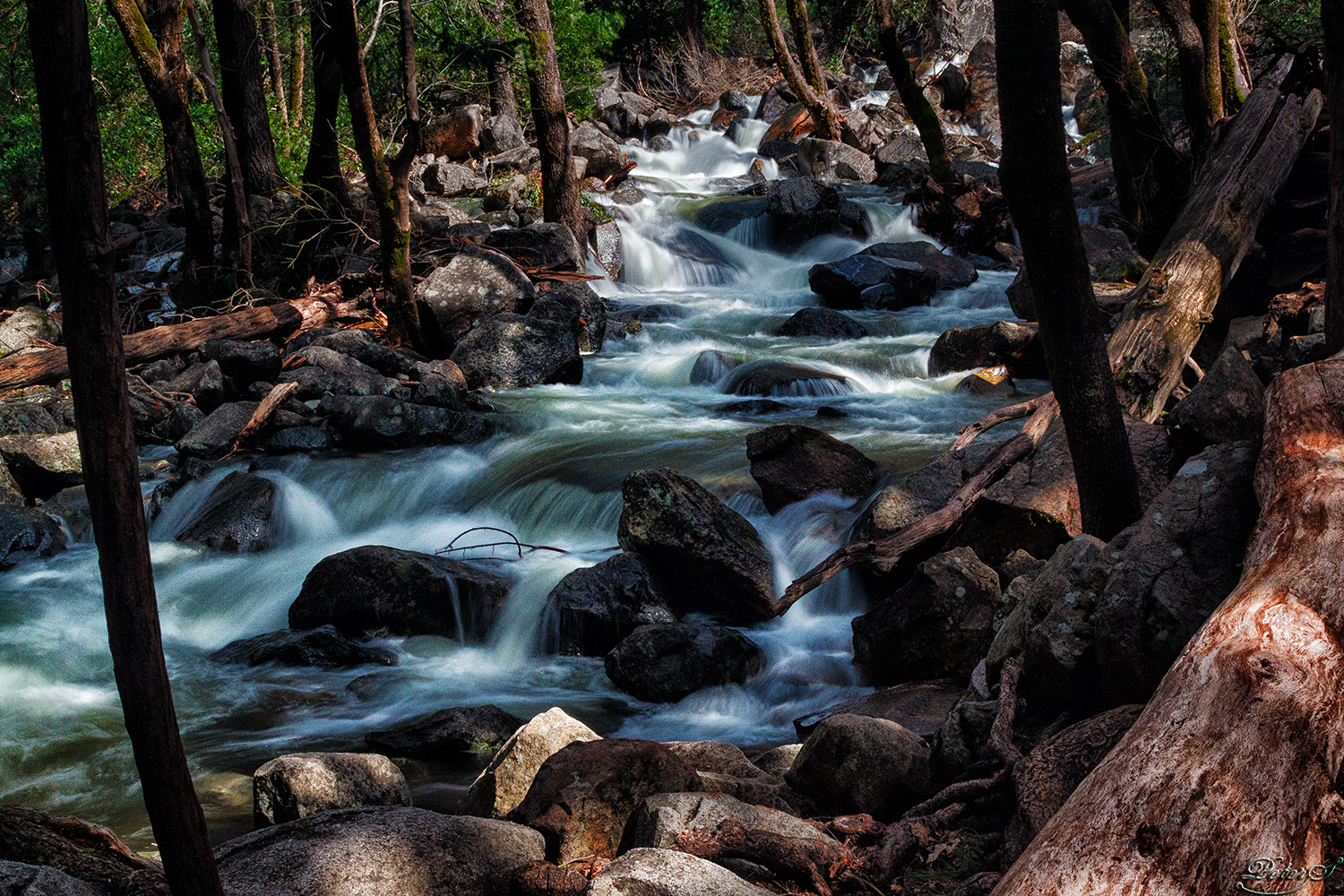 %_tempFileNameIMG_9705%